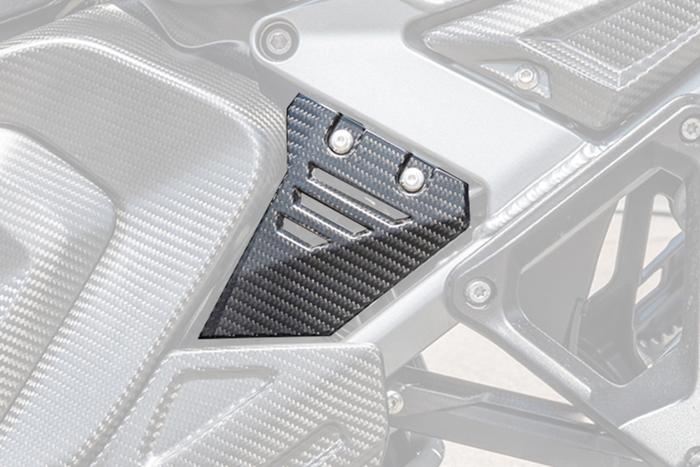 Ilmberger Front Triangle Cover for Rear Frame, Left â BMW R 1300 GS Adventure