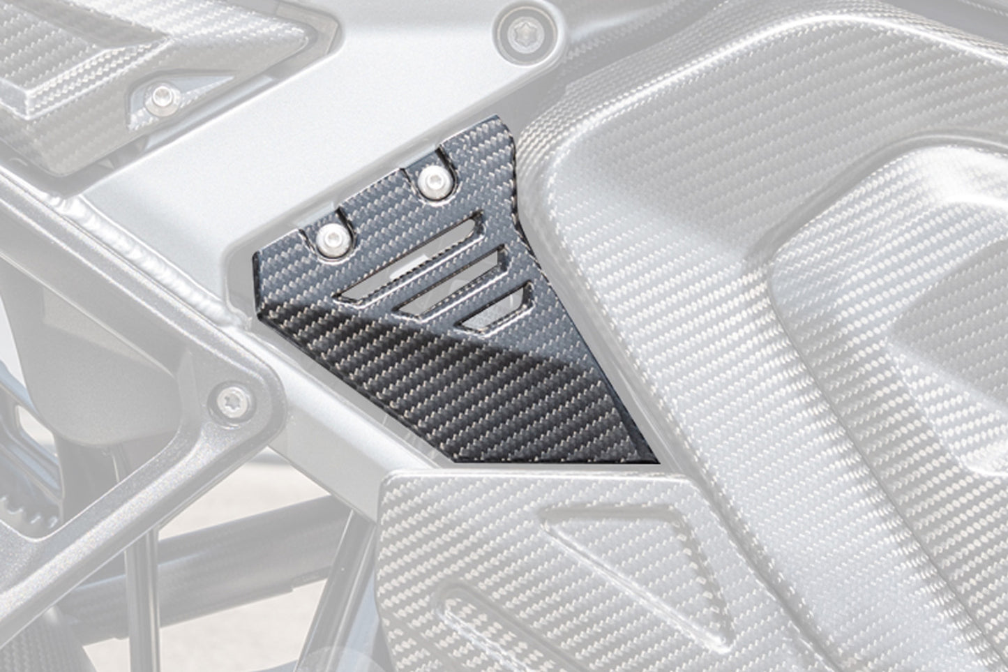Ilmberger Front Triangle Cover for Rear Frame, Right â BMW R 1300 GS Adventure
