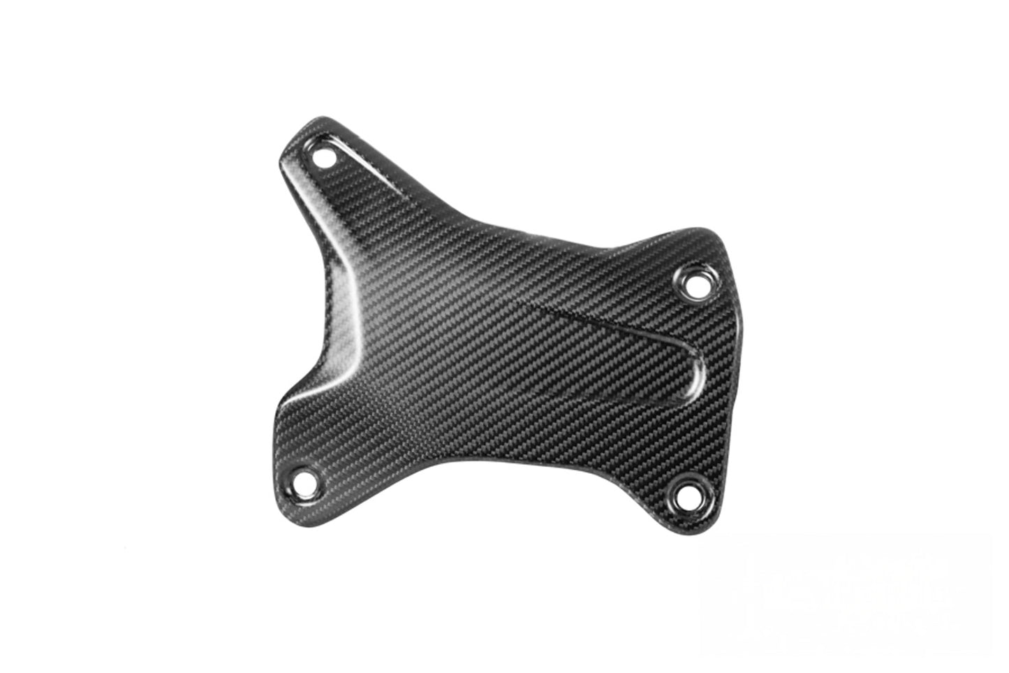 Ilmberger Crash Bar Cover Right, Carbon Matt â R 1300 GS Adventure