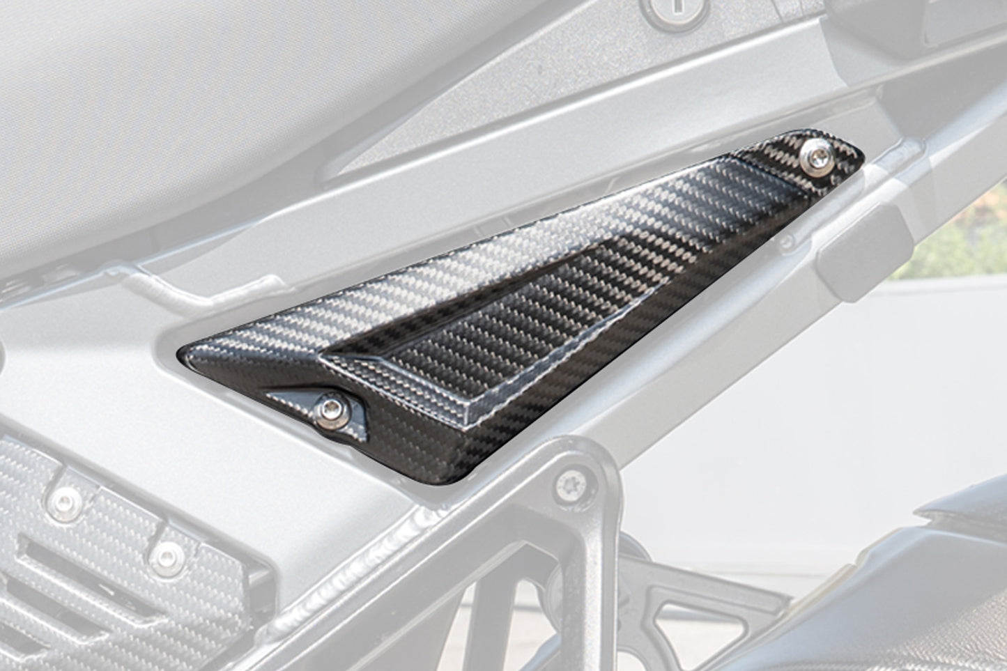 Ilmberger Rear Triangle Cover for Rear Frame, Left â R 1300 GS Adventure