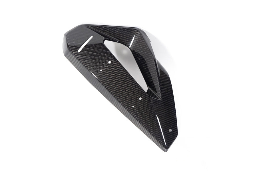 Ilmberger Cover on Radiator Fairing + Winglet Mount M 1000 XR