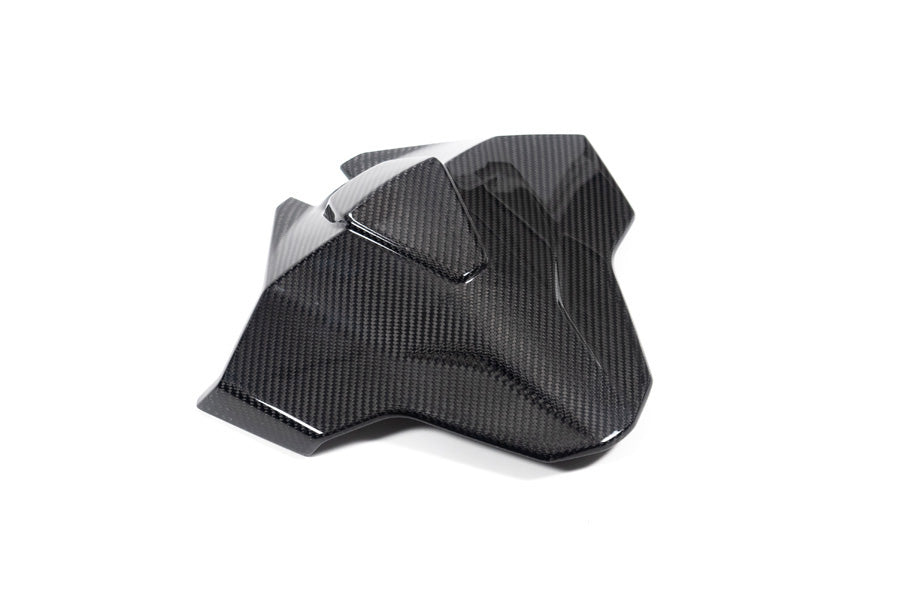 Ilmberger Tail fairing Monoposto M 1000 RR