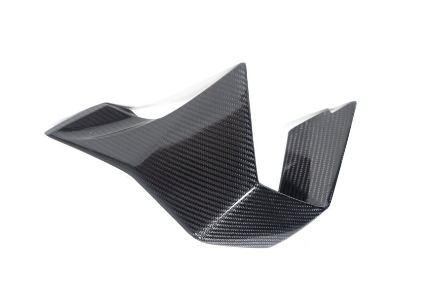 Ilmberger Faring Side Winglet M 1000 RR