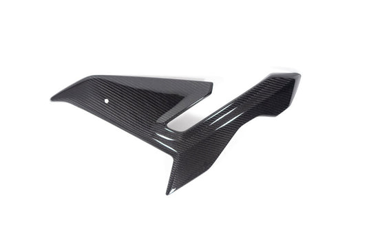 Ilmberger Side fairing M 1000 R