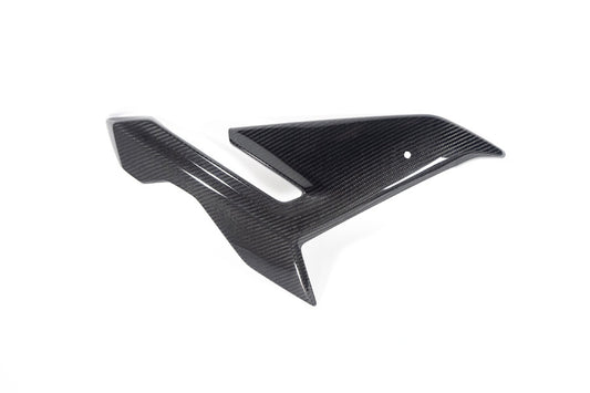 Ilmberger Side fairing M 1000 R