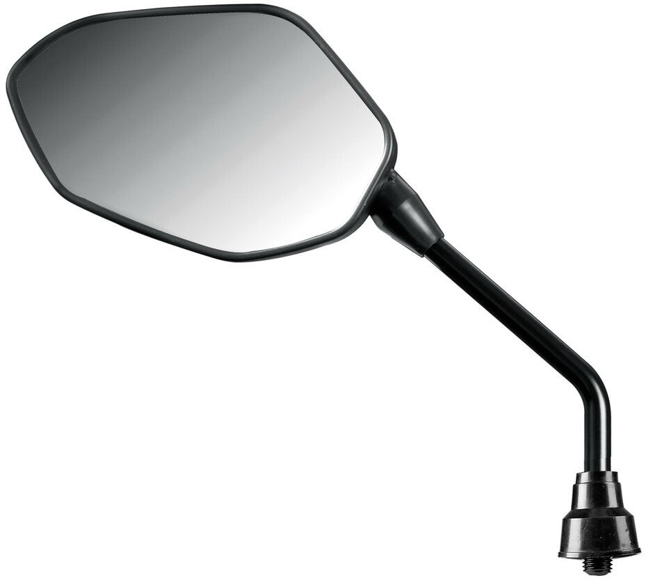 Borg pair of rearview mirrors