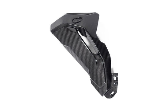 Ilmberger Kühlerverkleidung (komplette Version) S 1000 XR