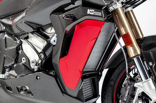 Ilmberger Kühlerverkleidung (Modell mit lackiertem Seitenteil) S 1000 XR