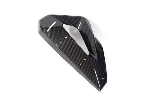 Ilmberger Abdeckung auf Kühlerverkleidung + Winglethalterung M 1000 XR