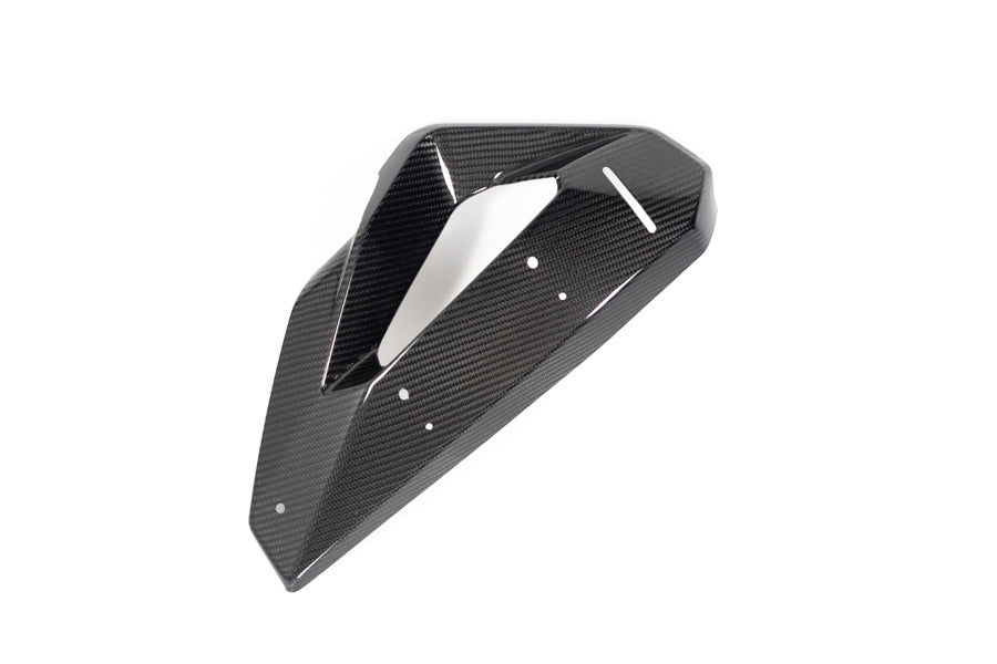 Ilmberger Abdeckung auf Kühlerverkleidung + Winglethalterung M 1000 XR