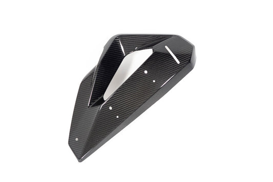 Ilmberger Abdeckung auf Kühlerverkleidung + Winglethalterung M 1000 XR