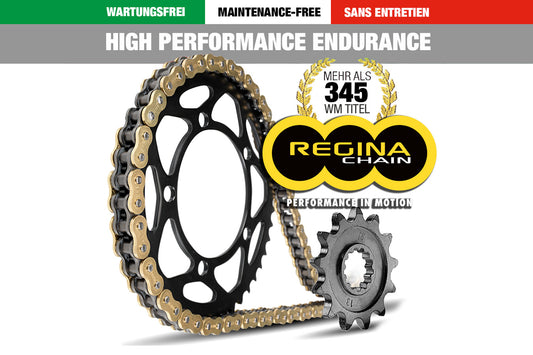 Regina HPE 525 Kettensatz 122 Kettenglieder F 750 GS / F 800 GS