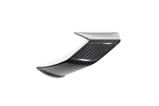 Ilmberger Faring Side Winglet S 1000 R