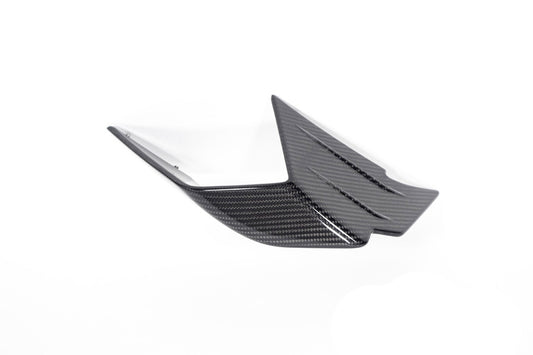 Ilmberger Faring Side Winglet M 1000 RR
