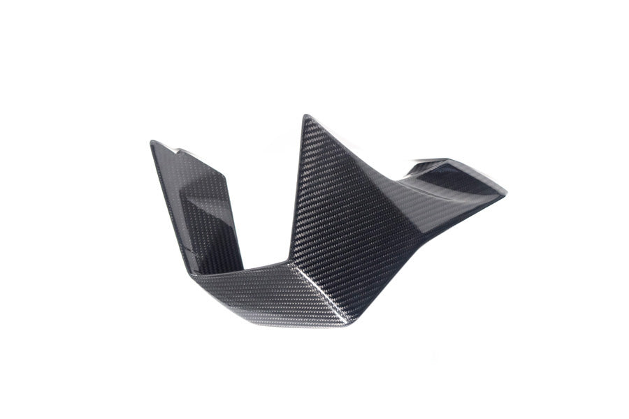 Ilmberger Faring Side Winglet M 1000 RR