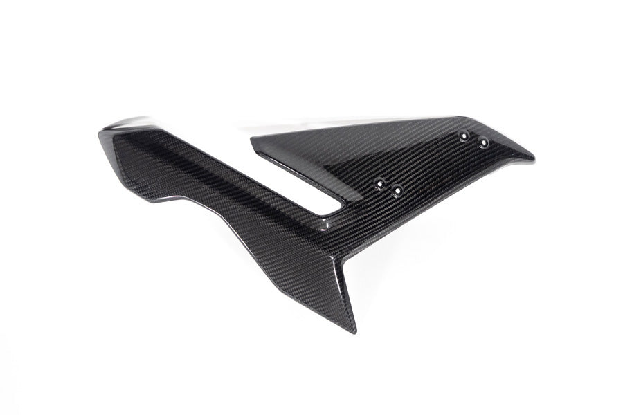 Ilmberger Seitenverkleidung S 1000 R