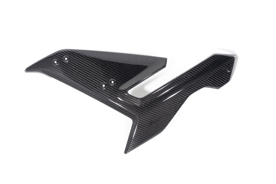 Ilmberger Seitenverkleidung S 1000 R