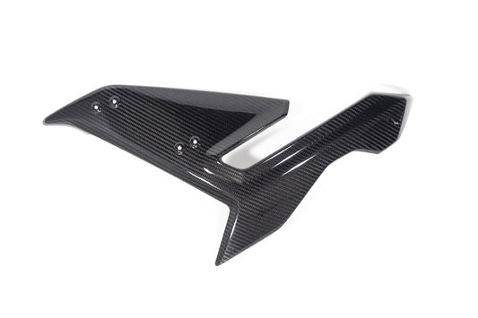 Ilmberger Seitenverkleidung S 1000 R