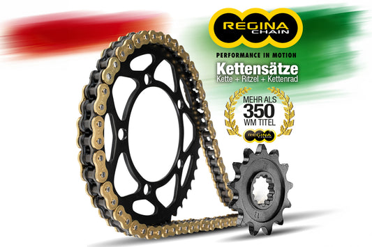 Regina ZRPO 525 chain kit with 124 chain links