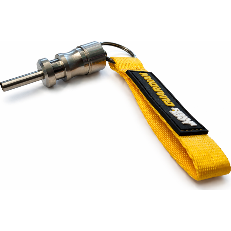 Lock Works Guardian LockPin