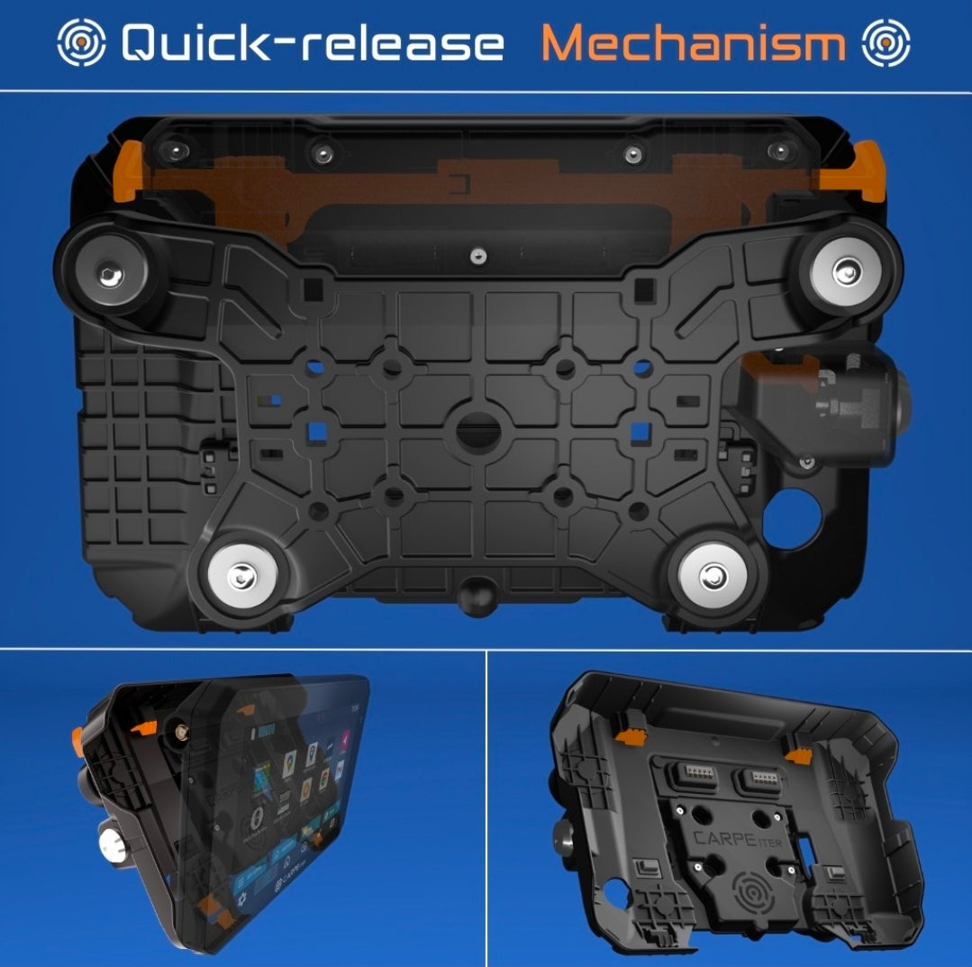 Carpe iter Caretta VORBESTELLUNG