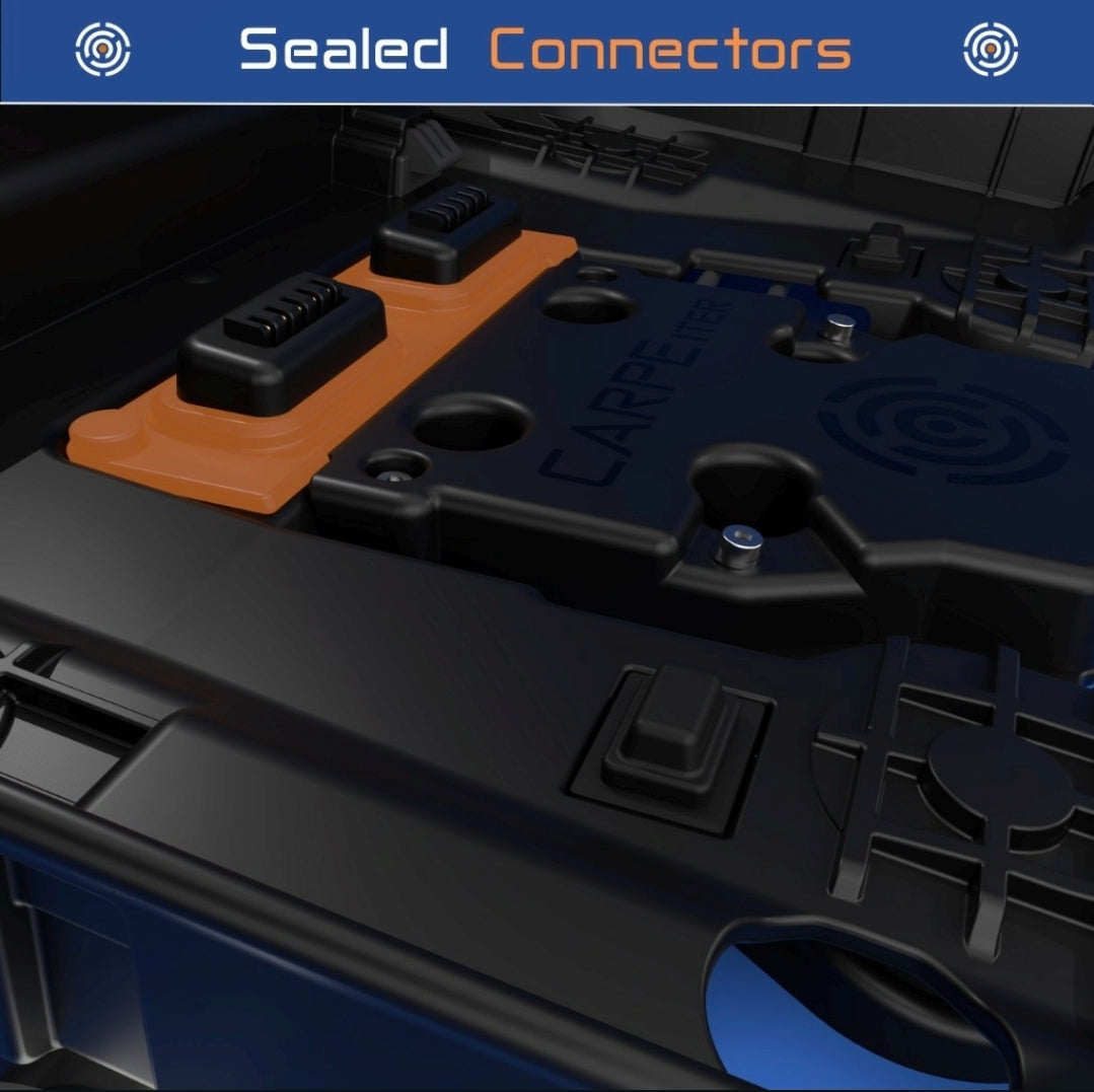 Carpe iter Caretta VORBESTELLUNG