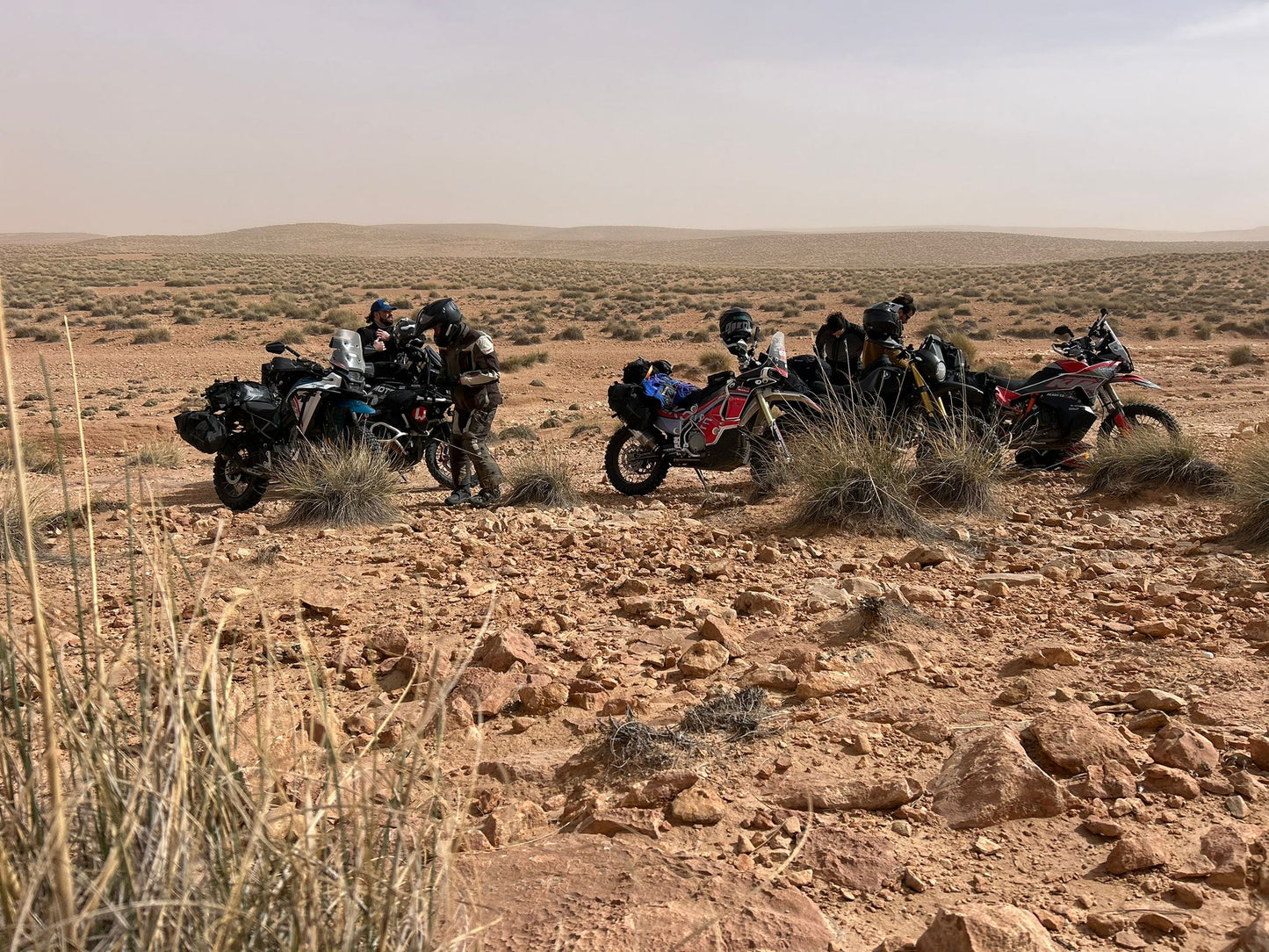 Marocco pure adventure 01-02-2027 - 15-02-2027
