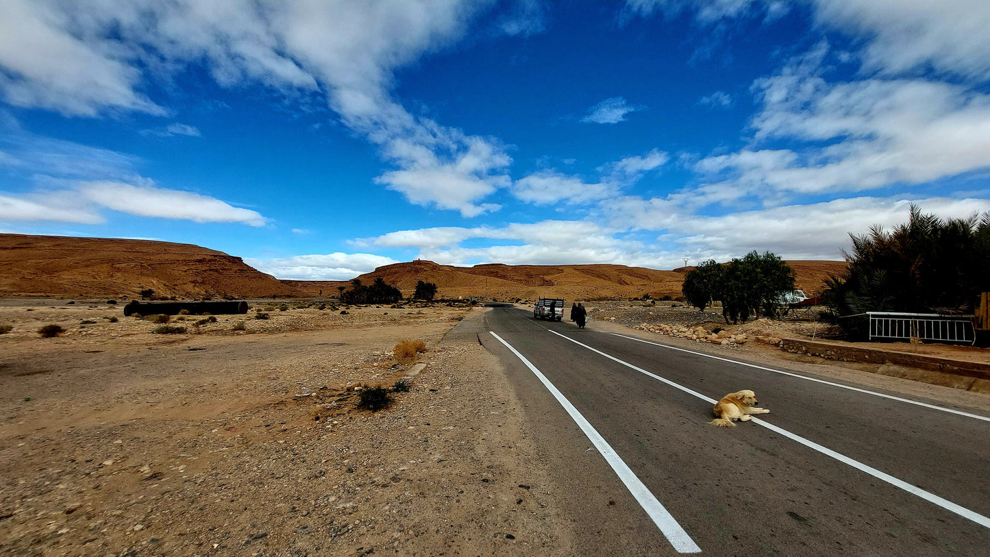 Marocco pure adventure 01-02-2027 - 15-02-2027